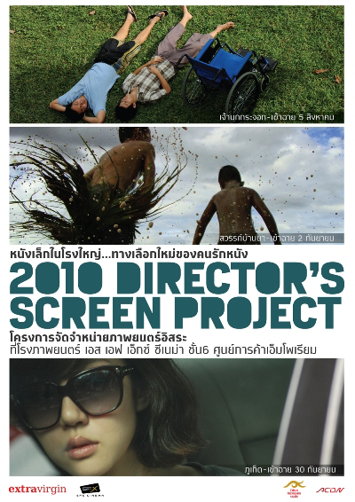 2010 Director's Screen project